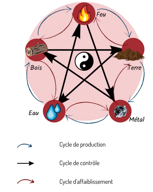 cycle des 5 éléments, bois, feu, terre, métal eau, un cycle productif et qui permet de rééquilibrer l'énergie